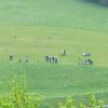 CW St Anton Bergrennen 2011 054